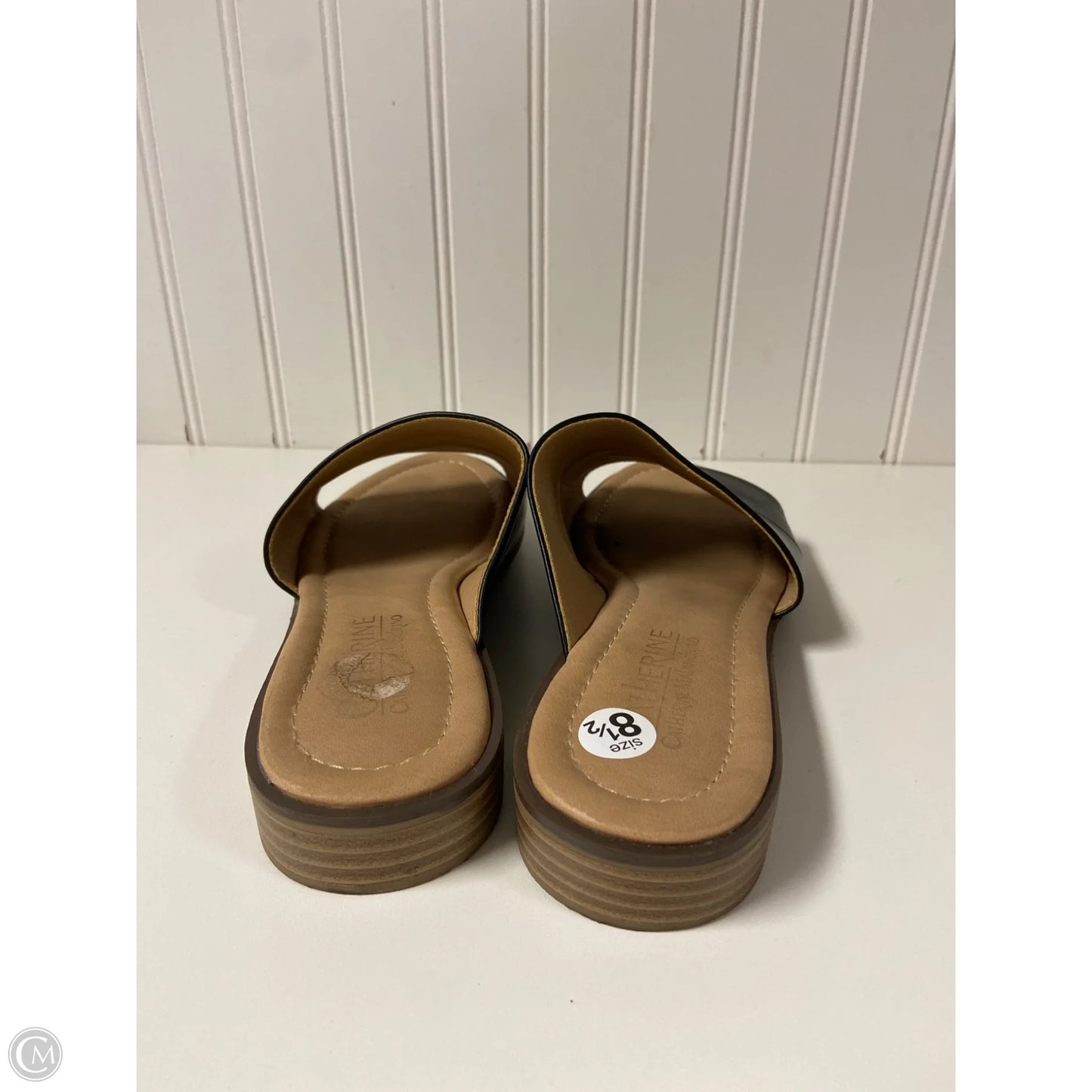 Sandals Flats By Catherine Malandrino In Black, Size: 8.5