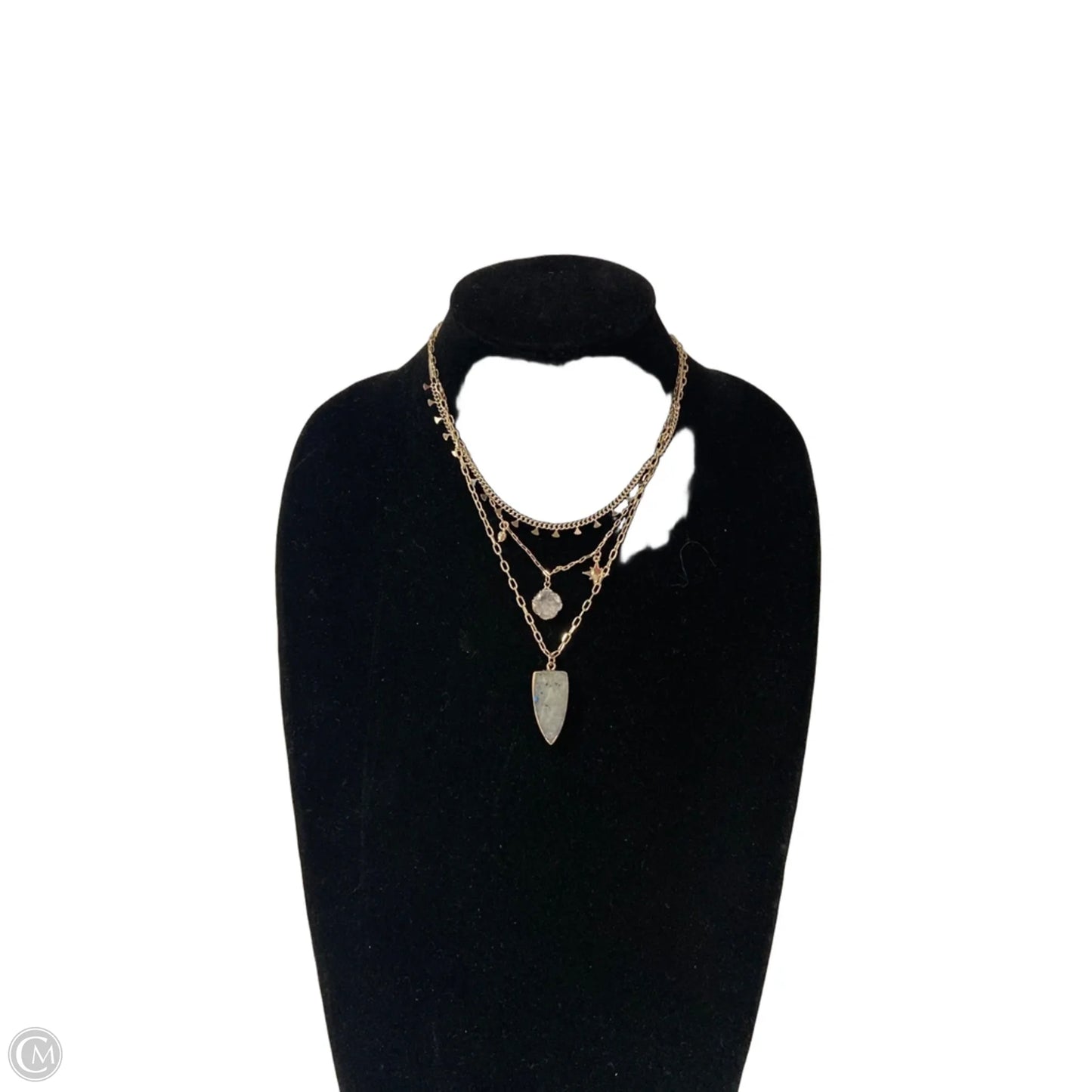 Necklace Layered By Express, Size: 1