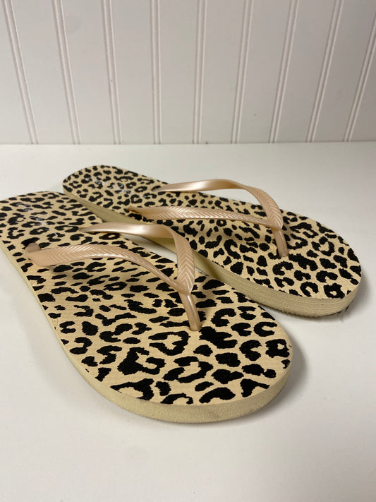 Animal Print Sandals Flip Flops Charlie Paige, Size 9