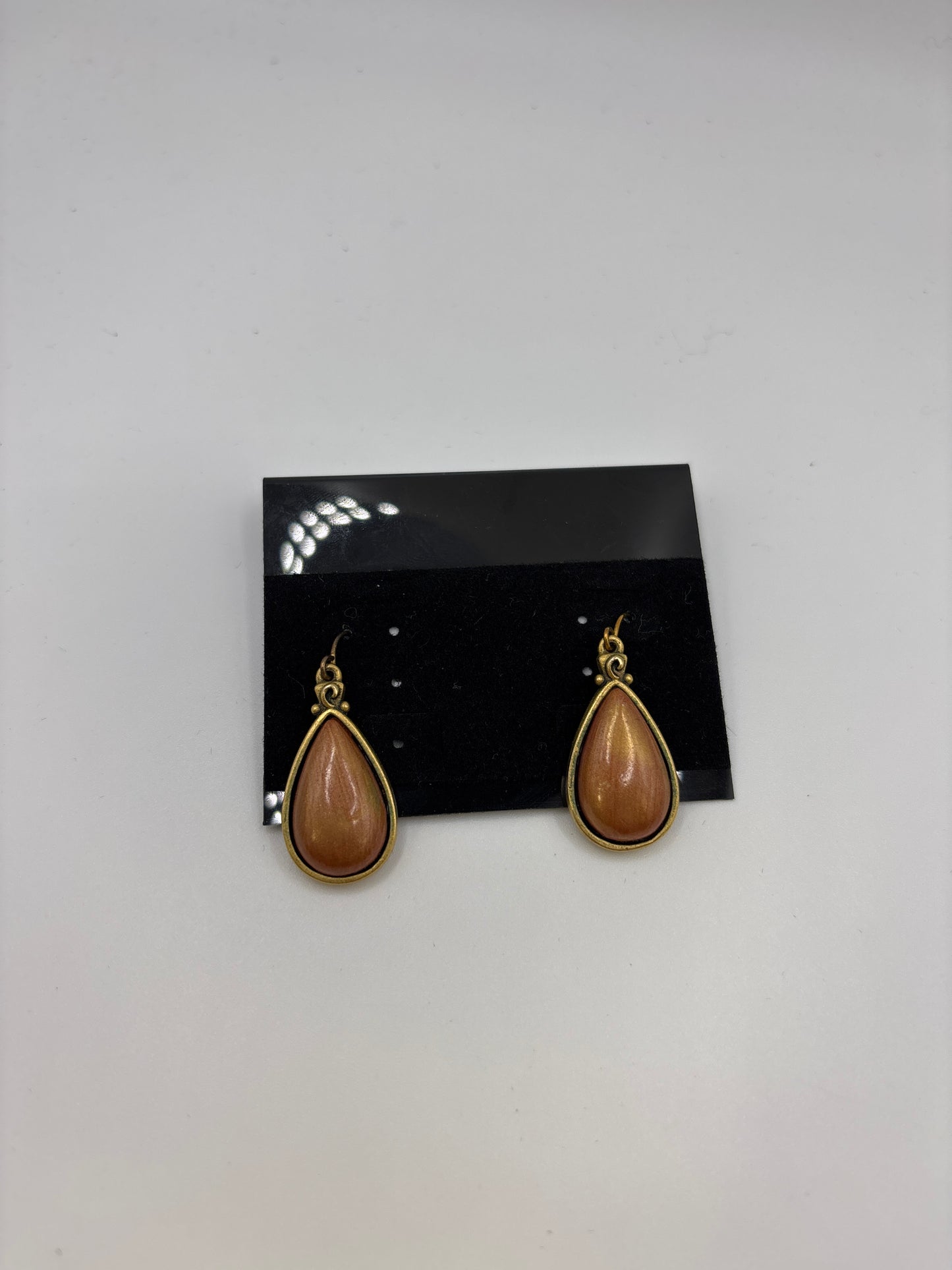 Earrings Dangle/drop By Chicos