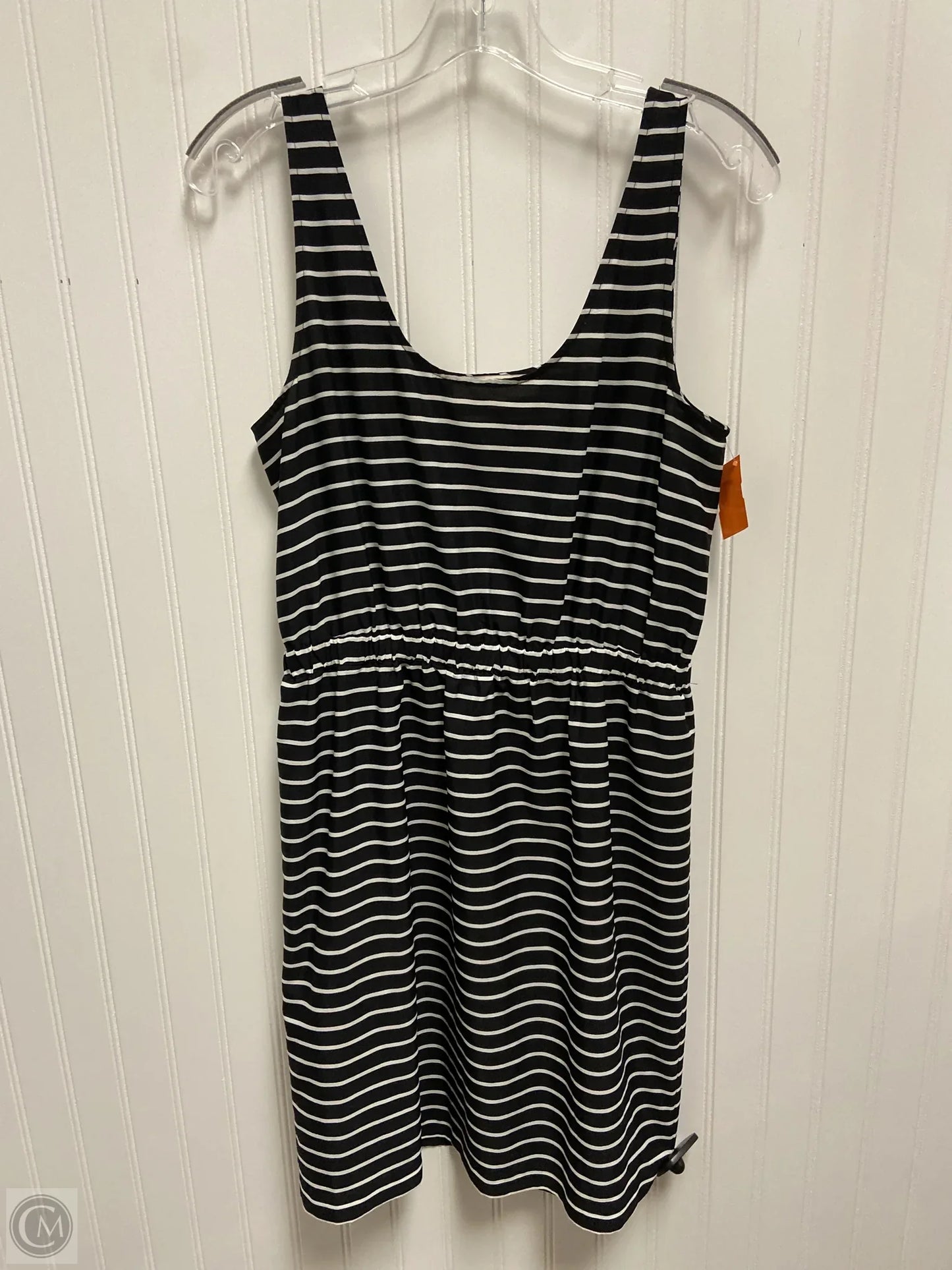 Dress Casual Short By Loft In Striped Pattern, Size: S