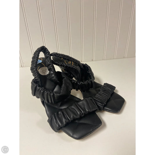 Shoes Heels Kitten By Sam Edelman In Black, Size: 6