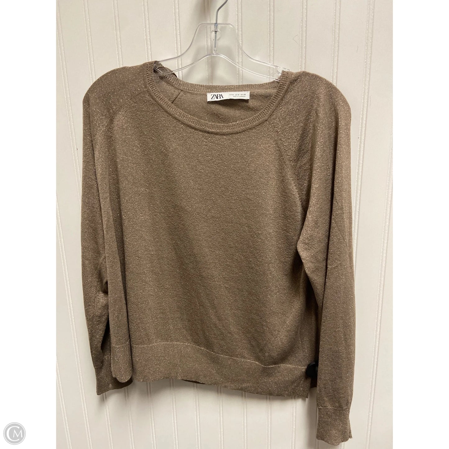 Top Long Sleeve By Zara In Taupe, Size: M