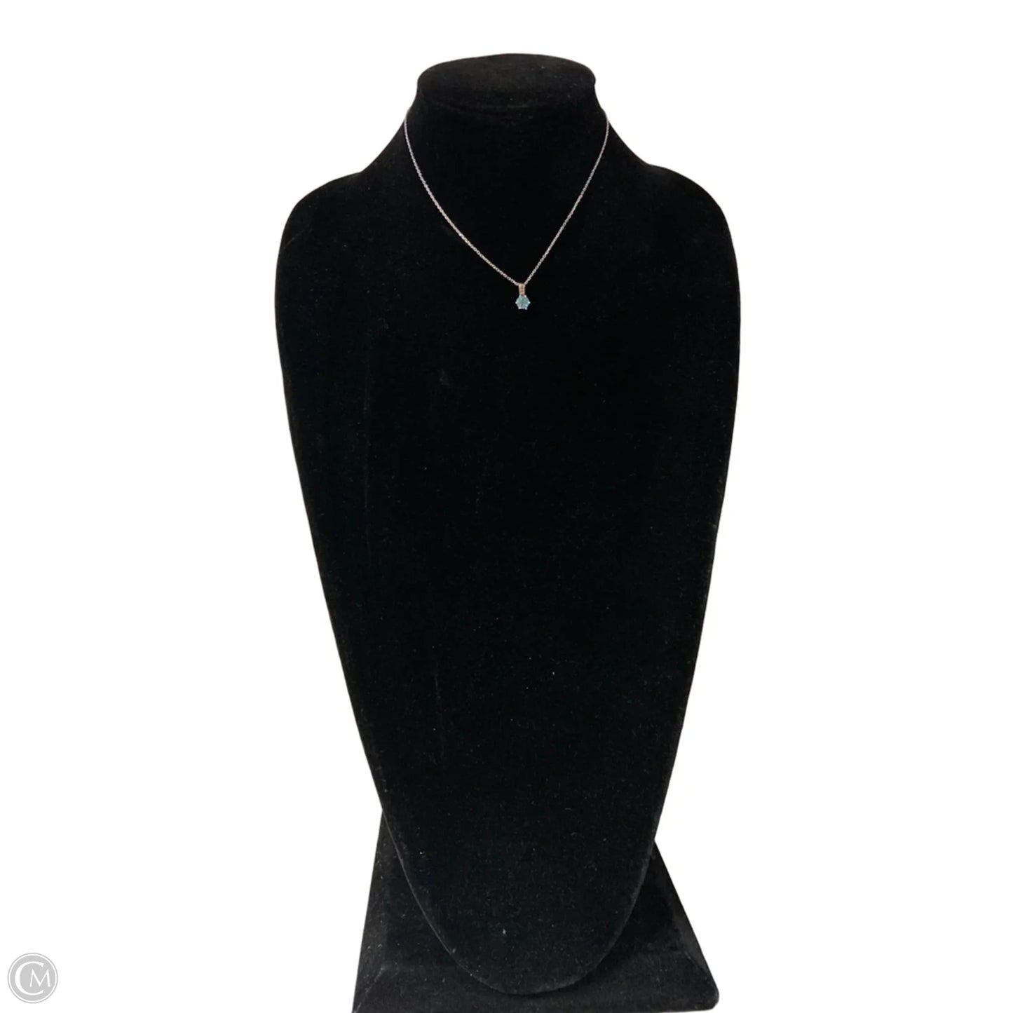 Necklace Chain By Clothes Mentor