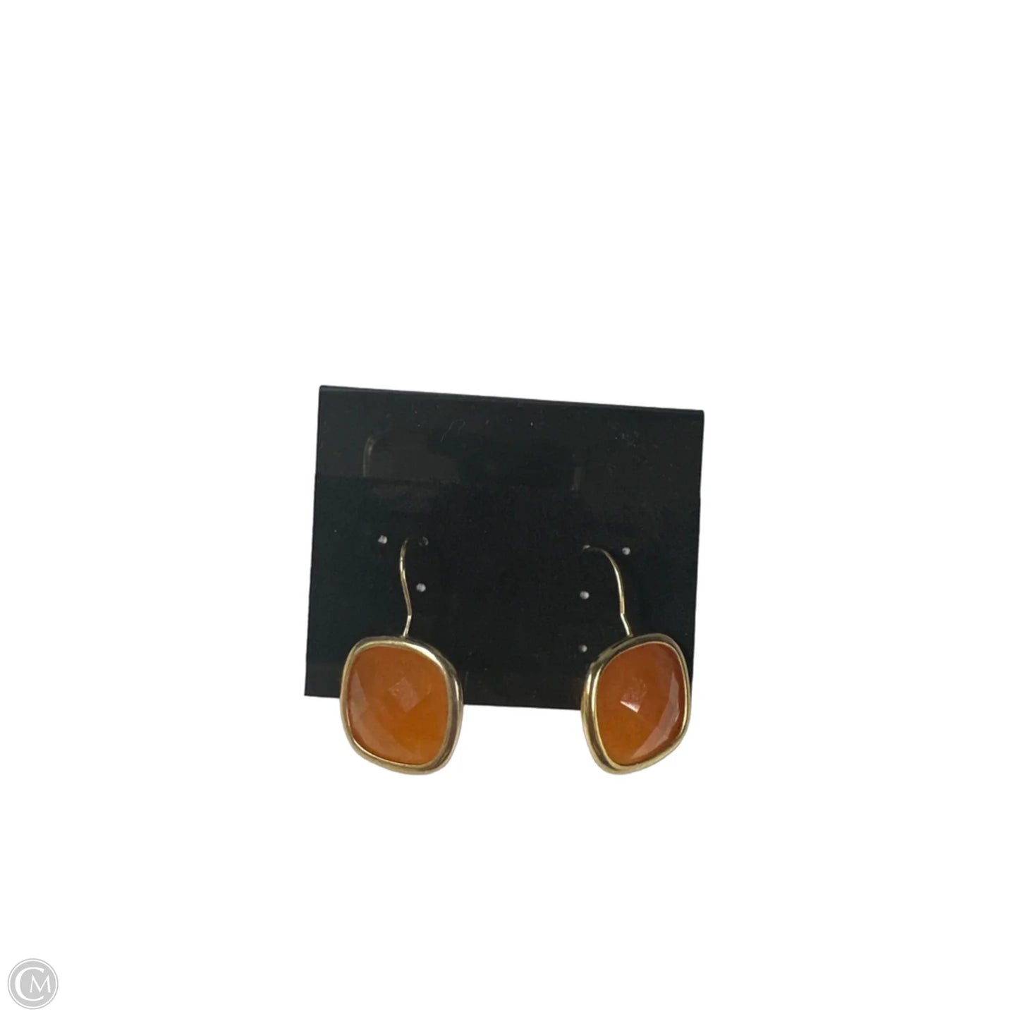 Earrings Dangle/drop By Clothes Mentor