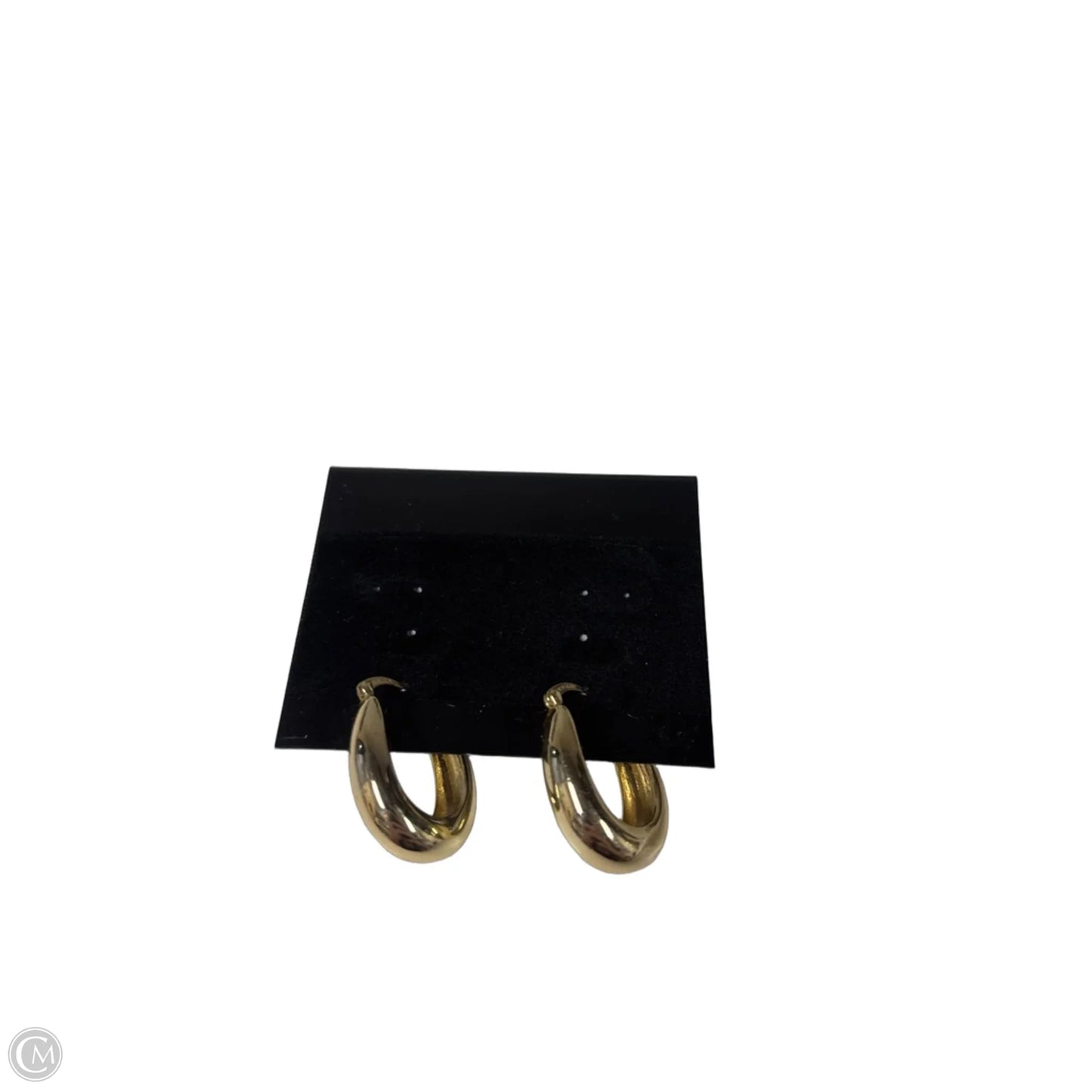Earrings Hoop By Clothes Mentor