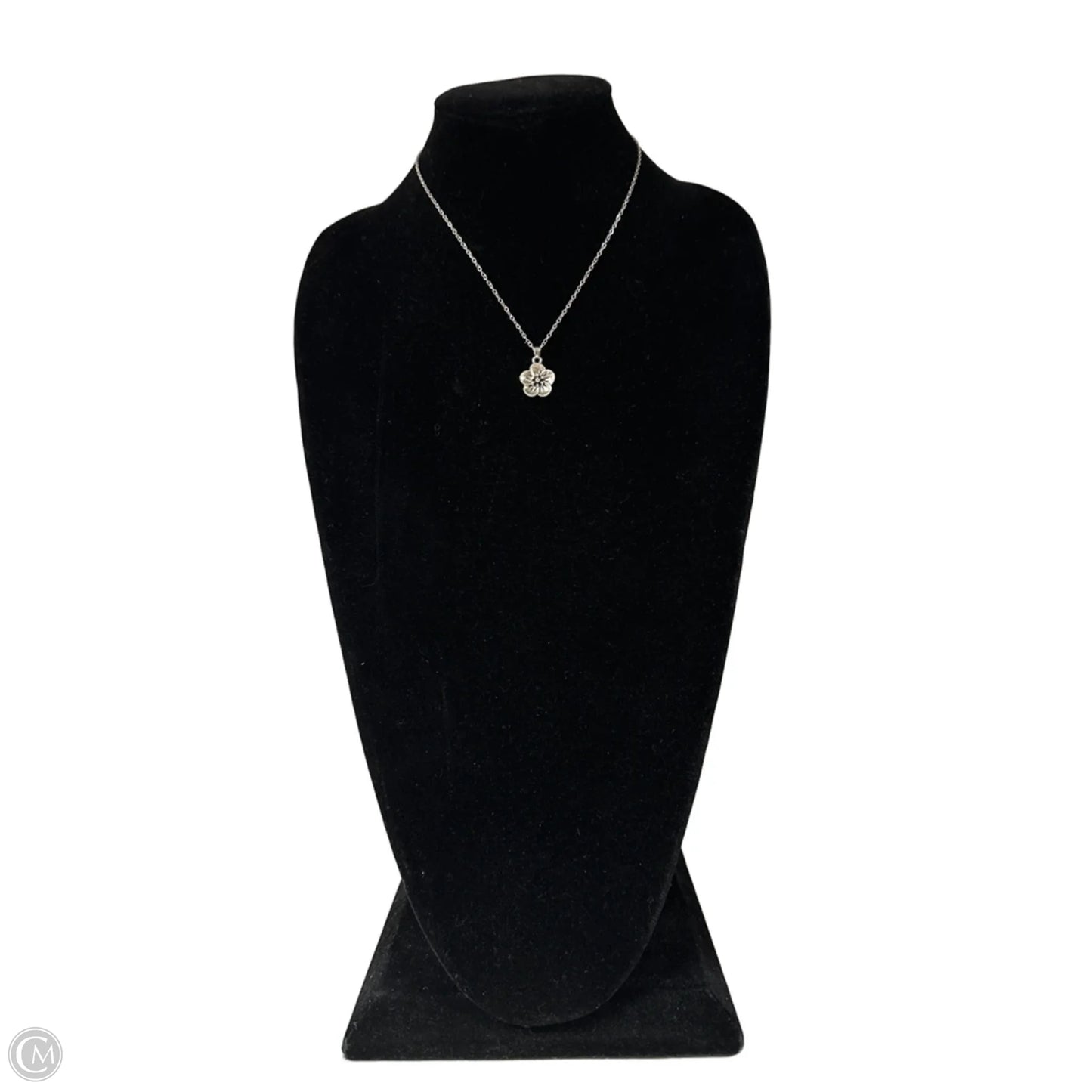 Necklace Chain By Clothes Mentor