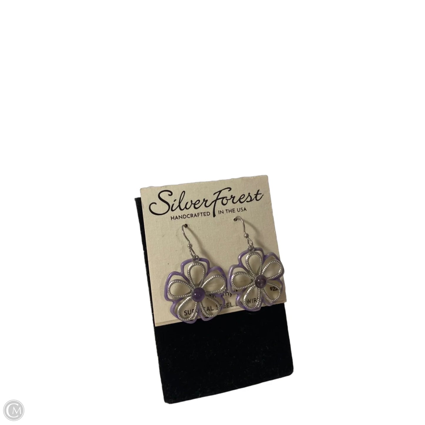 Earrings Dangle/drop By Clothes Mentor