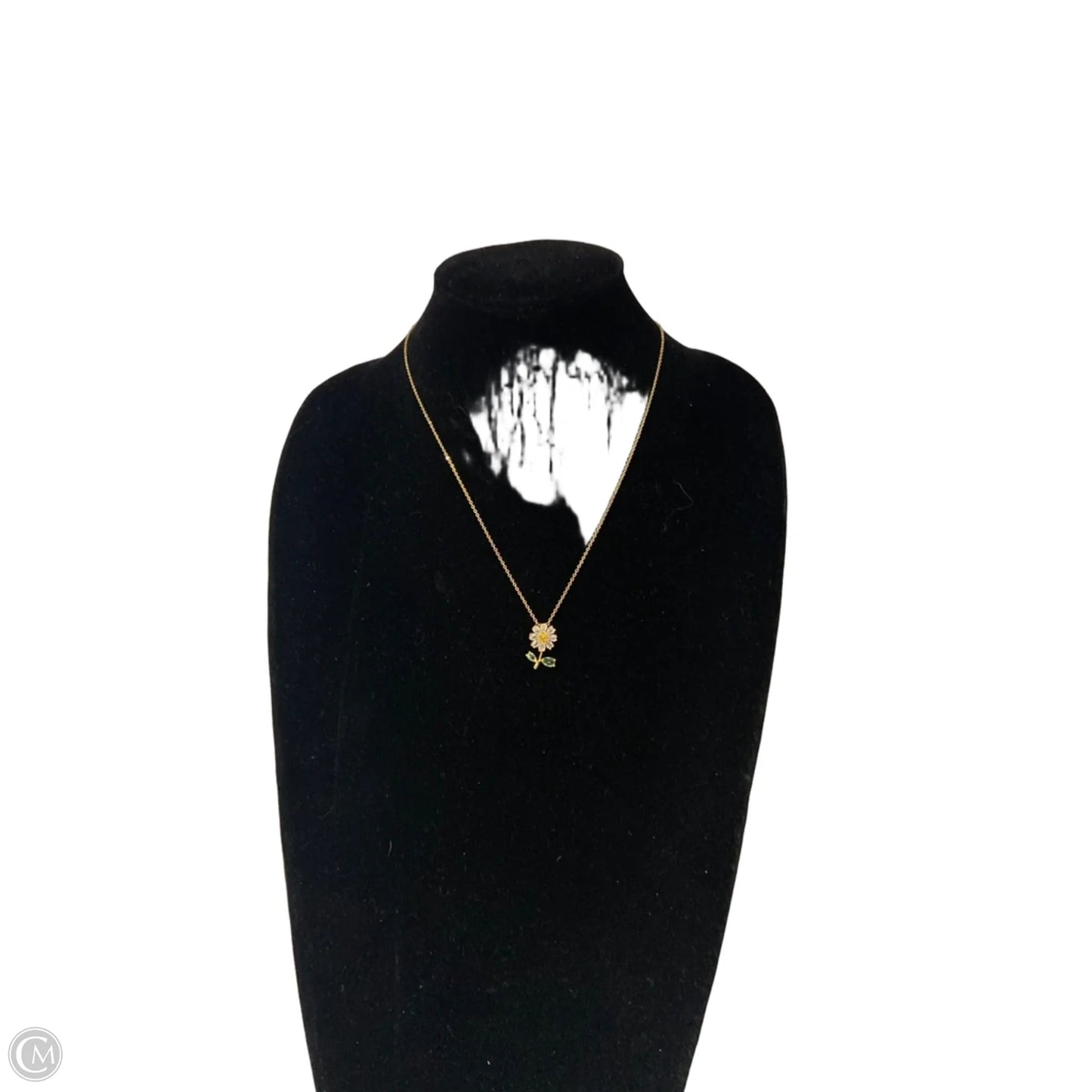 Necklace Chain By Clothes Mentor