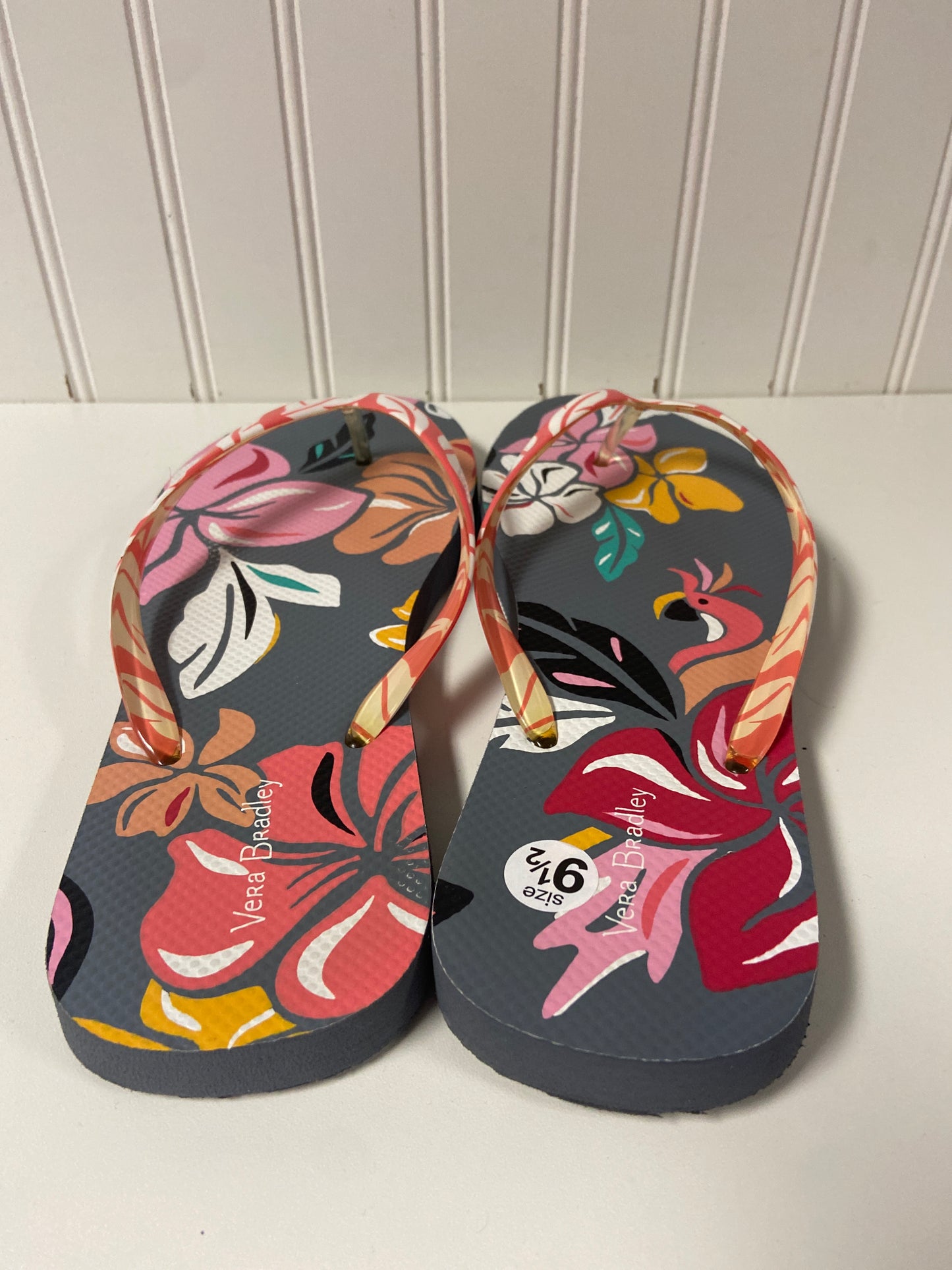 Sandals Flip Flops By Vera Bradley In Multi-colored, Size: 9.5