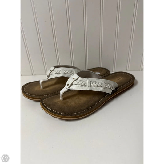 Sandals Flip Flops By Clarks In Brown & White, Size: 7.5