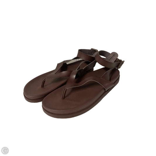 Sandals Flats By American Eagle In Brown, Size: 9