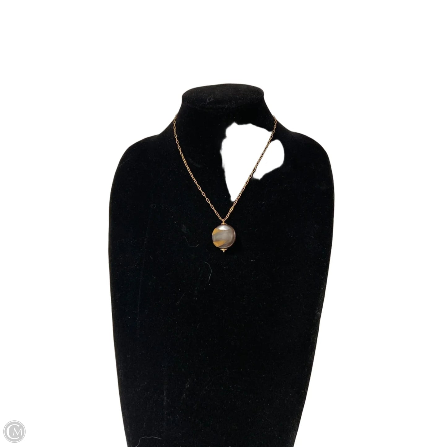 Necklace Pendant By Clothes Mentor, Size: 1