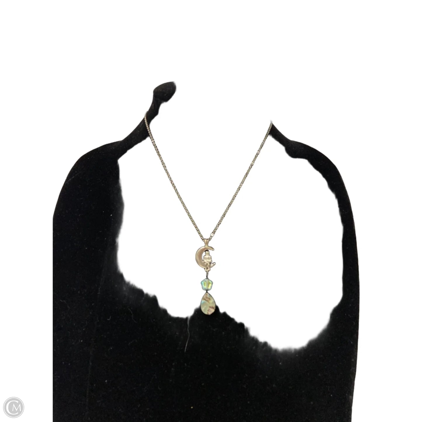 Necklace Pendant By Clothes Mentor