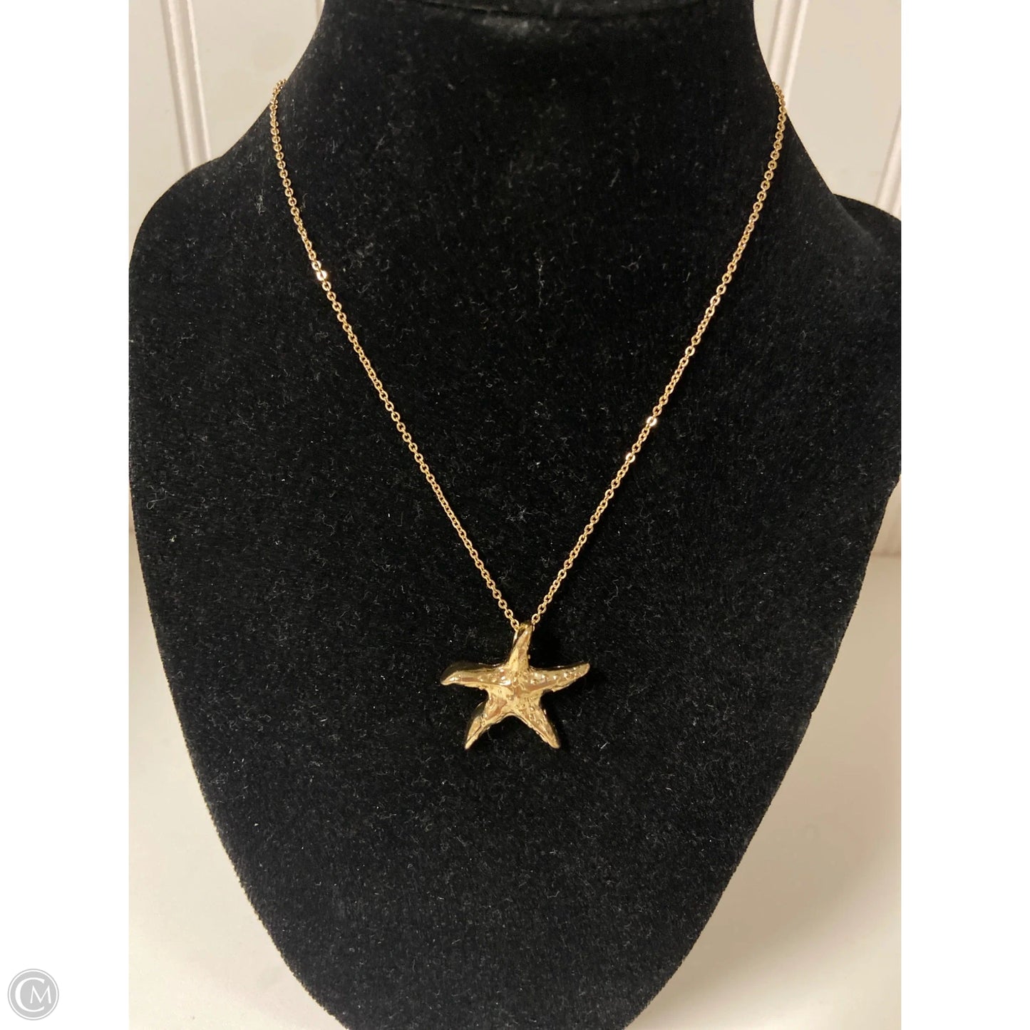 Necklace Chain By Clothes Mentor