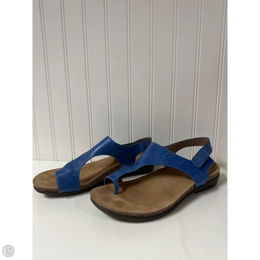 Sandals Flip Flops By Dansko In Blue, Size: 8.5