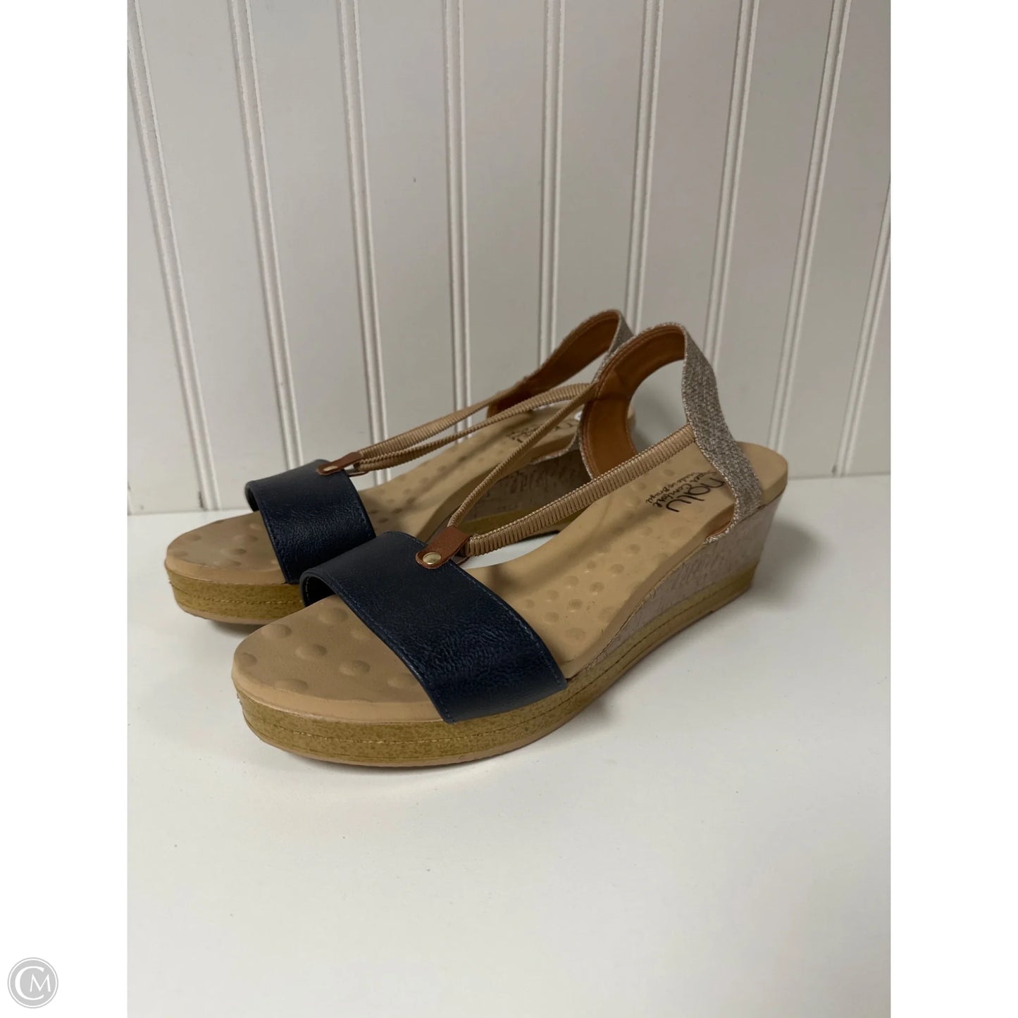 Sandals Heels Wedge By Clothes Mentor In Blue & Brown, Size: 10