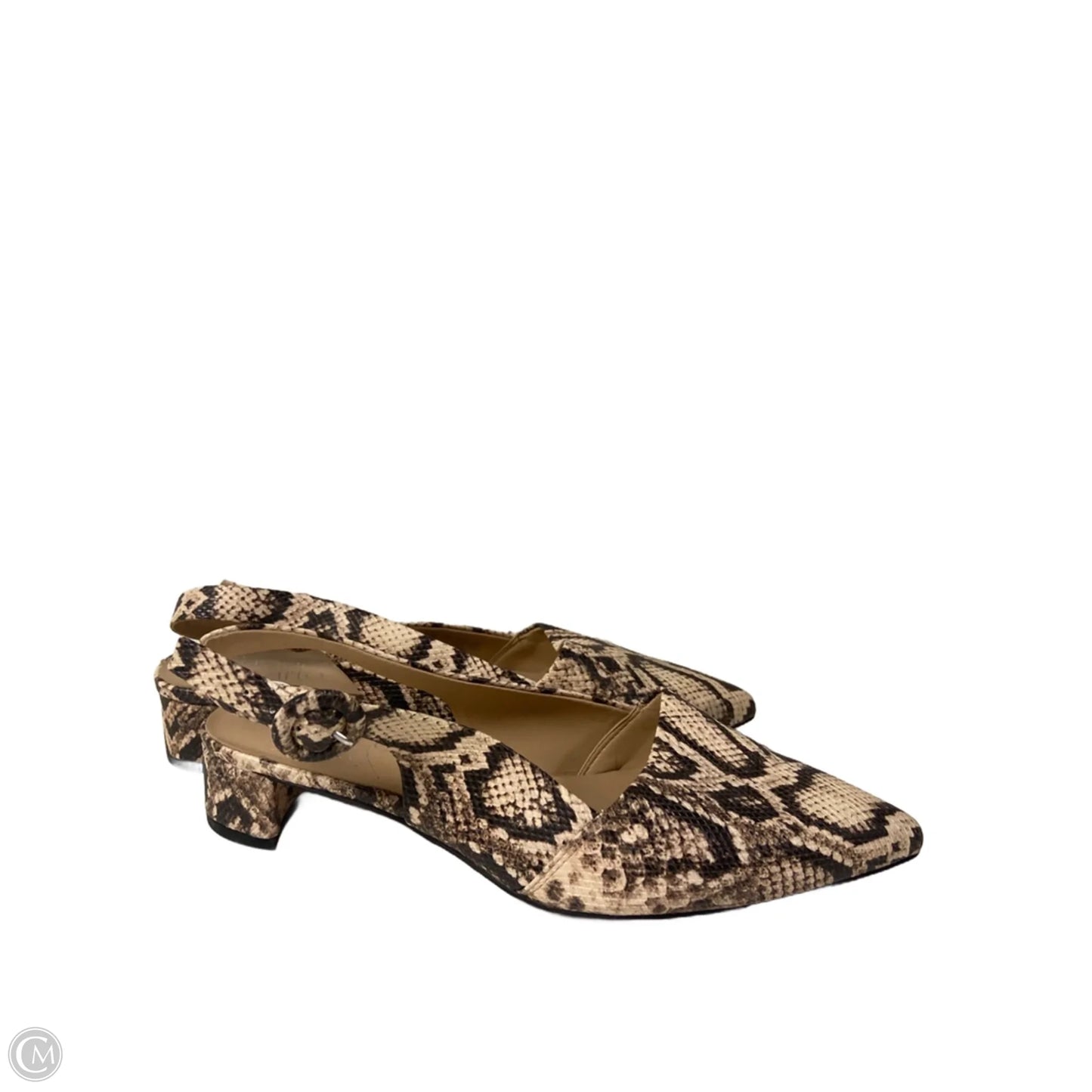 Shoes Heels Block By Franco Sarto In Snakeskin Print, Size: 6.5