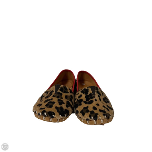 Shoes Flats By Spring Step In Animal Print, Size: 8.5