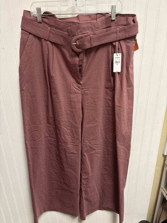 Pants Wide Leg By Express  Size: 16