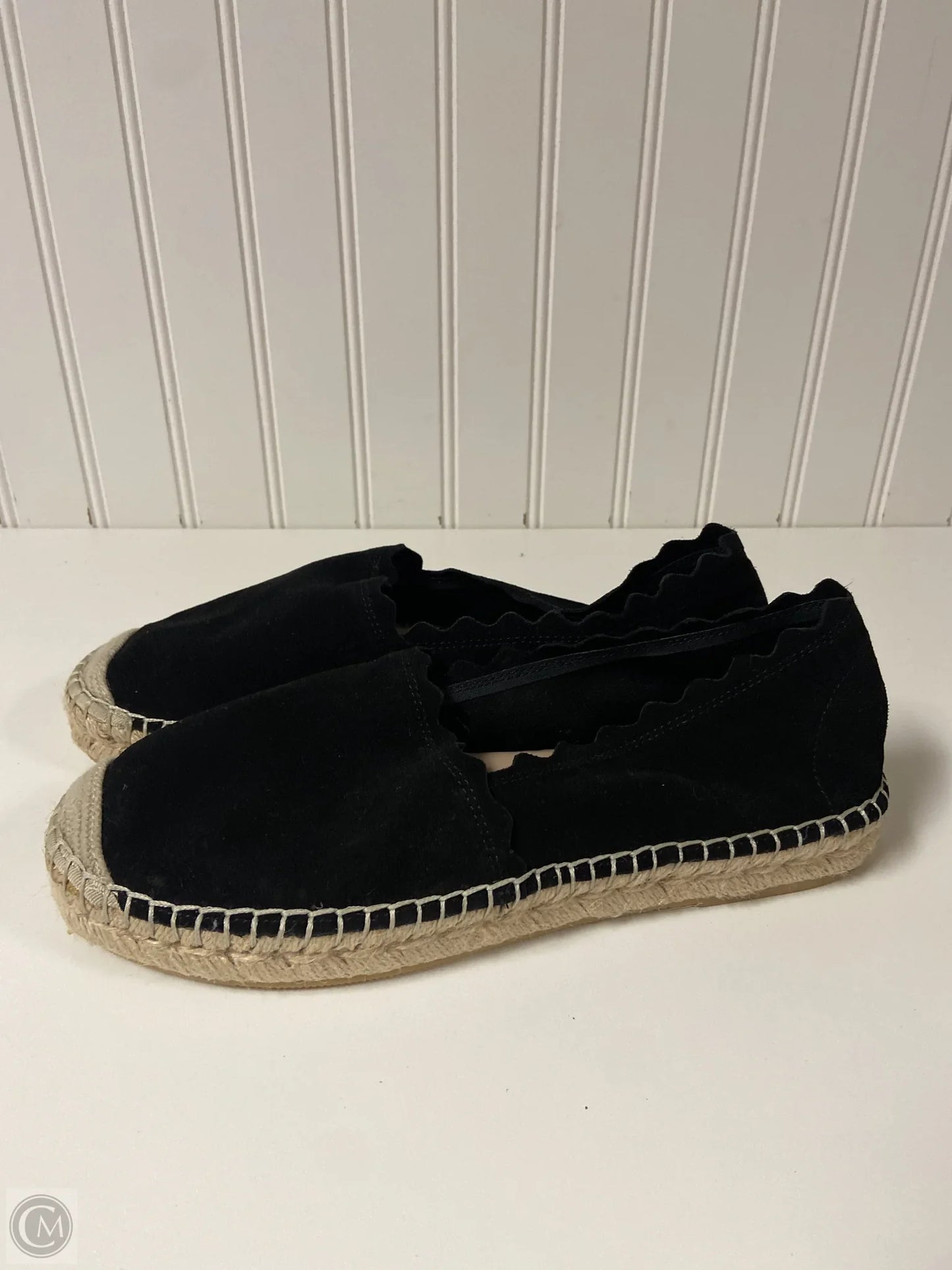 Shoes Flats By Steve Madden In Black, Size: 8.5