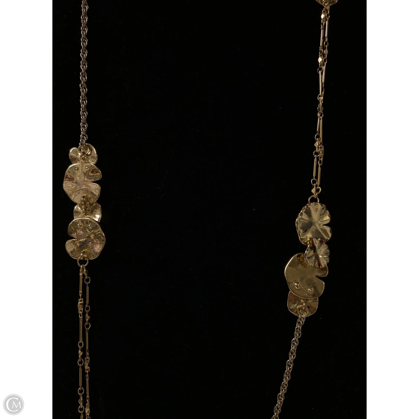 Necklace Chain By Clothes Mentor