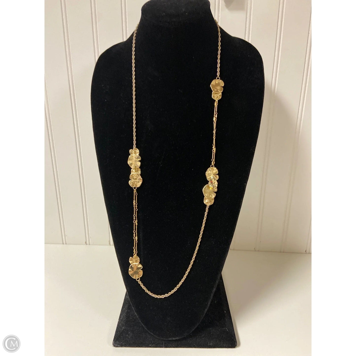 Necklace Chain By Clothes Mentor
