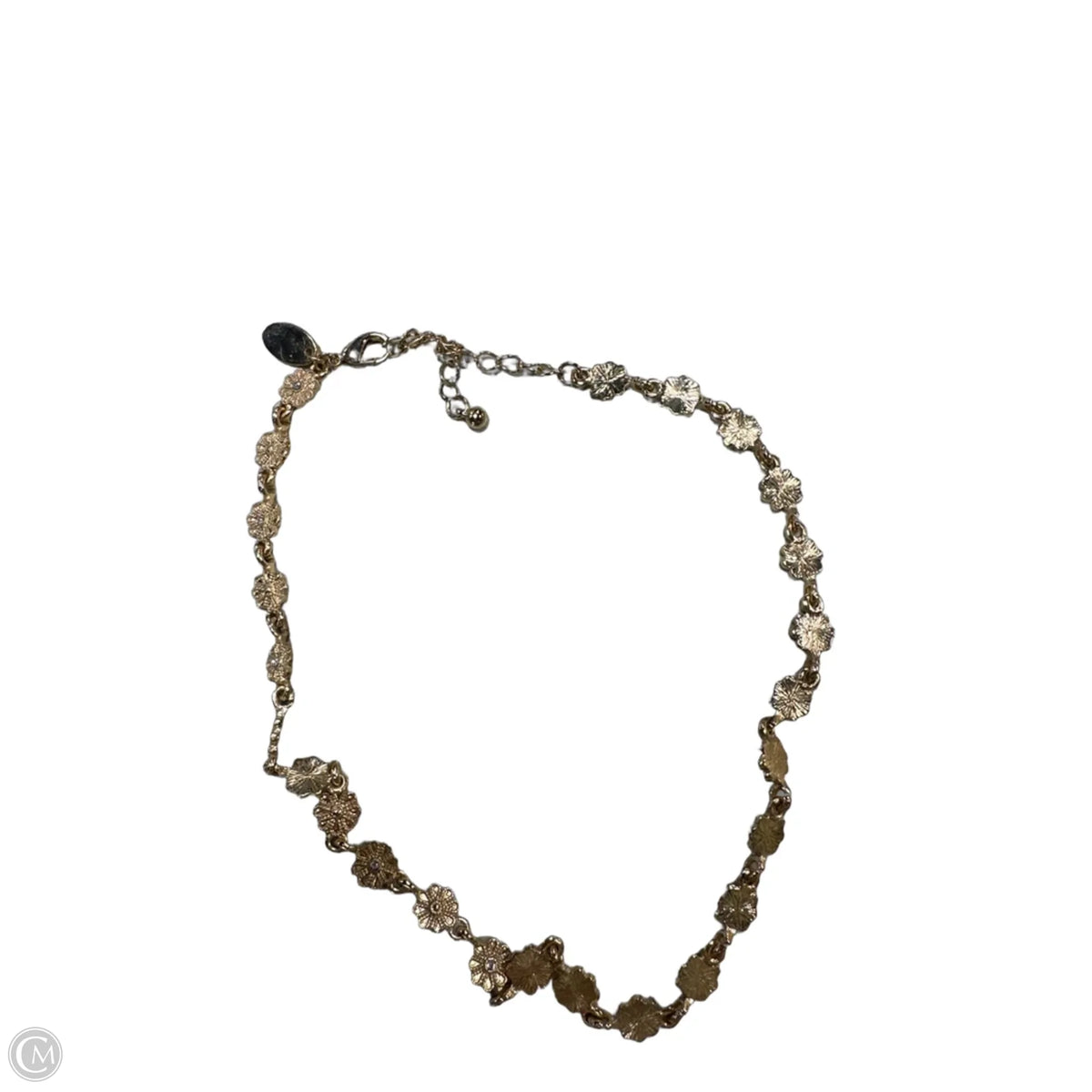 Necklace Chain By Clothes Mentor