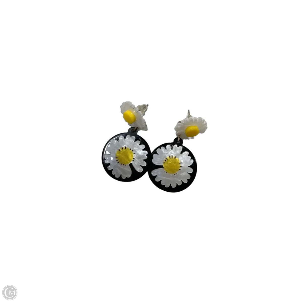 Earrings Dangle/drop By Clothes Mentor
