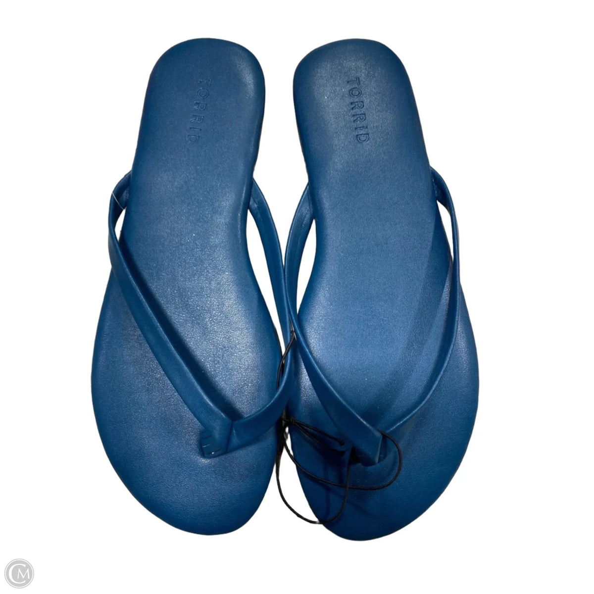 Sandals Flip Flops By Torrid In Blue, Size: 10