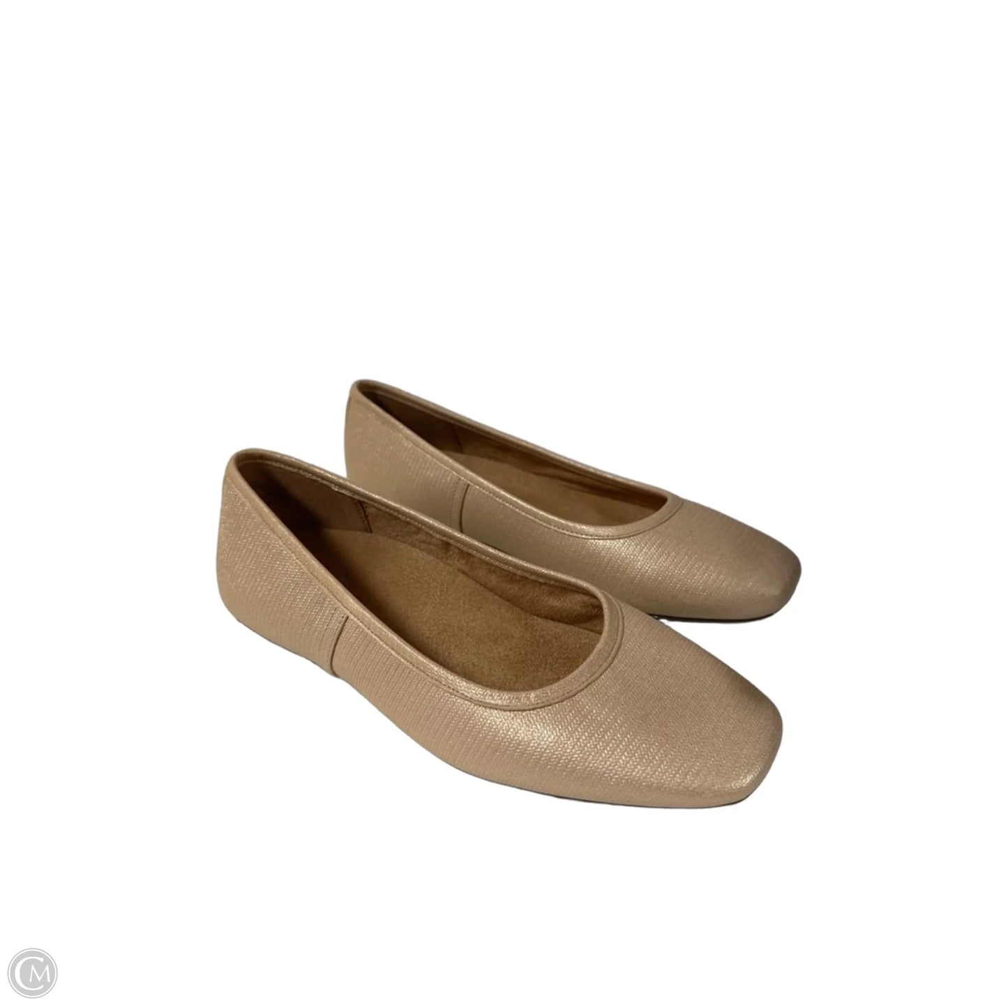 Shoes Flats By Vionic In Brown, Size: 8