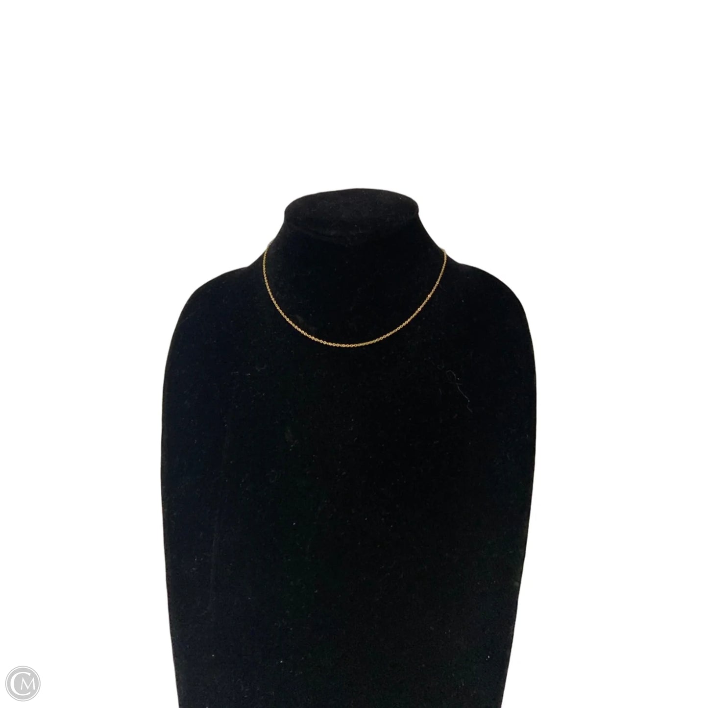 Necklace Chain By Clothes Mentor