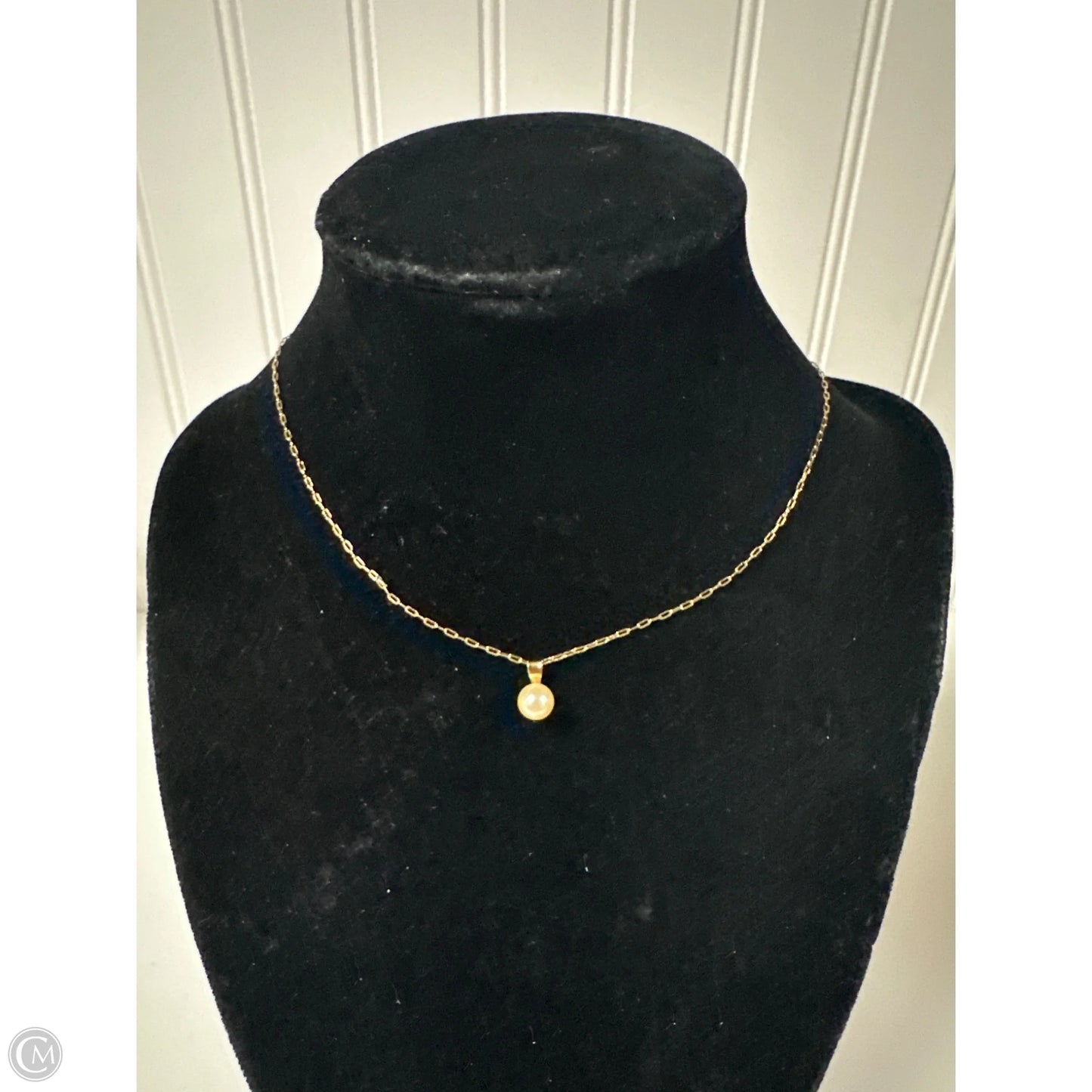 Necklace Charm By Clothes Mentor