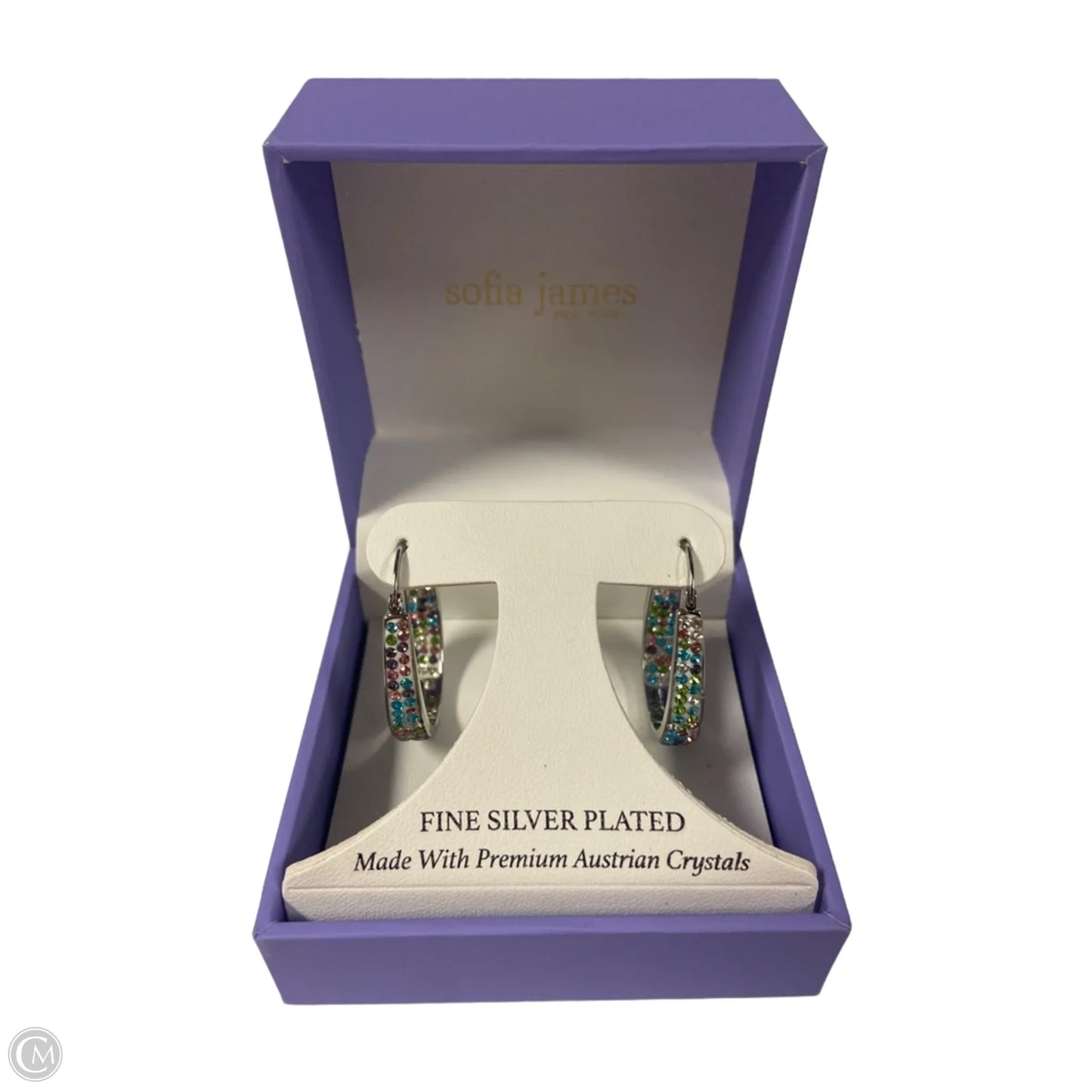 Earrings Hoop By Clothes Mentor