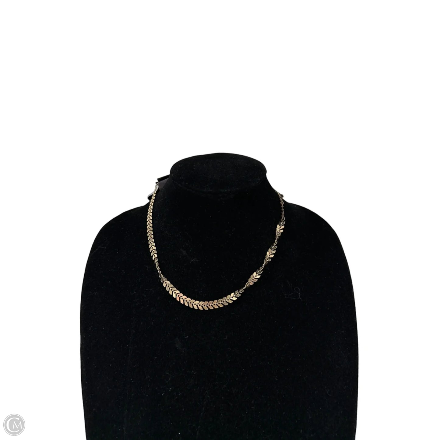 Necklace Chain By Clothes Mentor