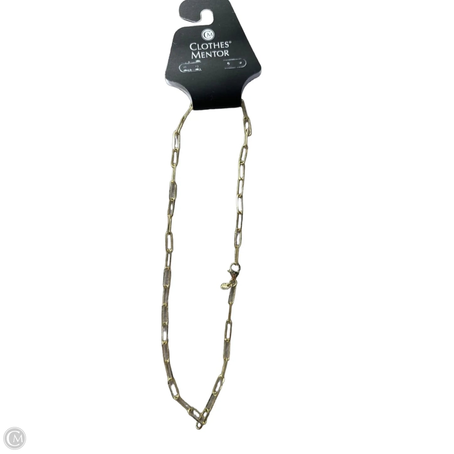 Necklace Chain By Clothes Mentor