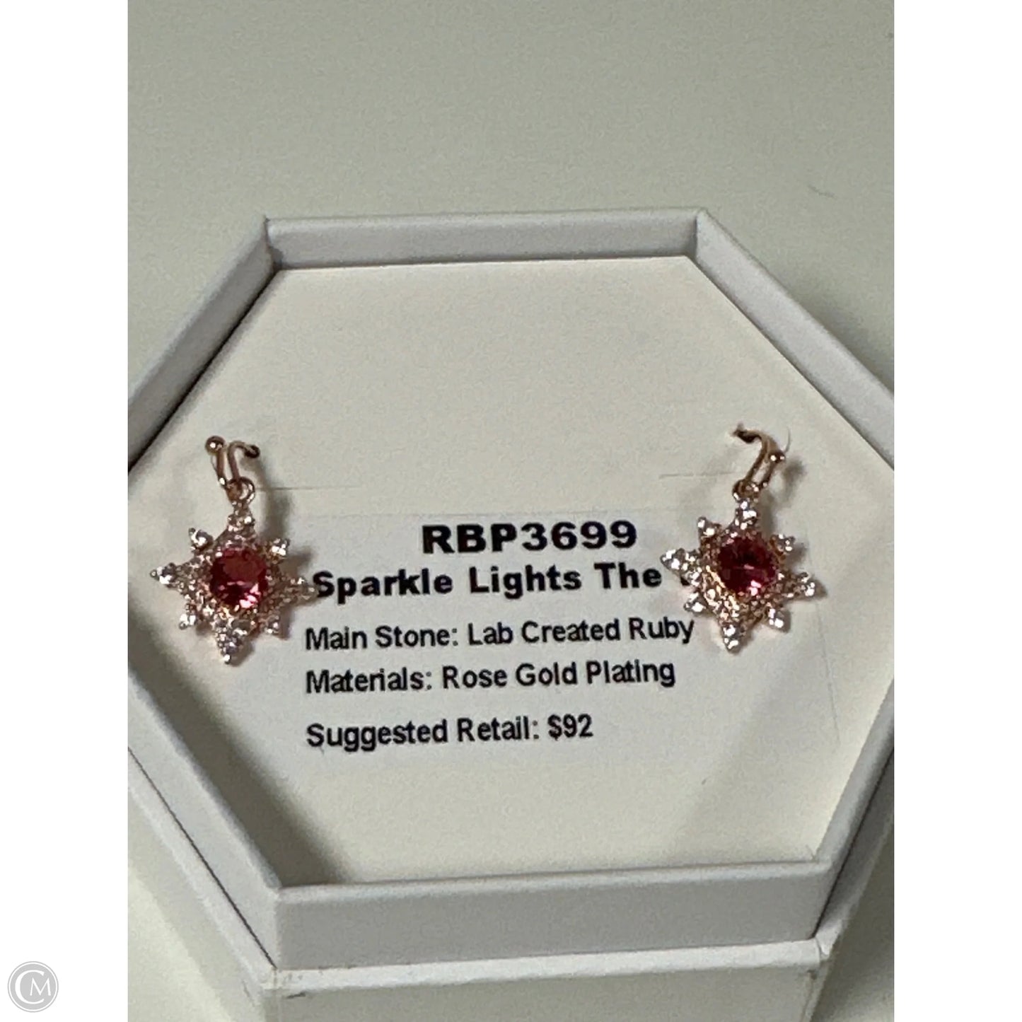 Earrings Dangle/drop By Clothes Mentor