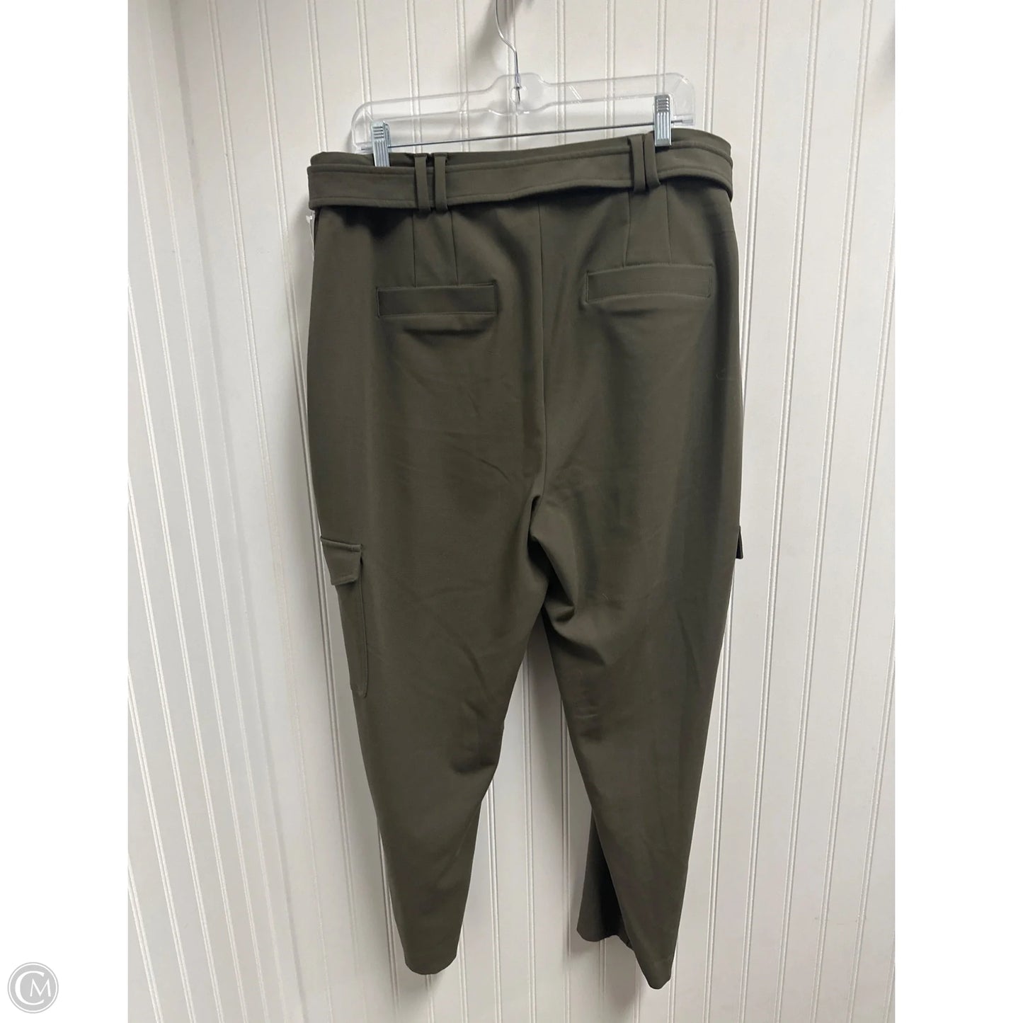 Pants Cargo & Utility By Express In Green, Size: 16