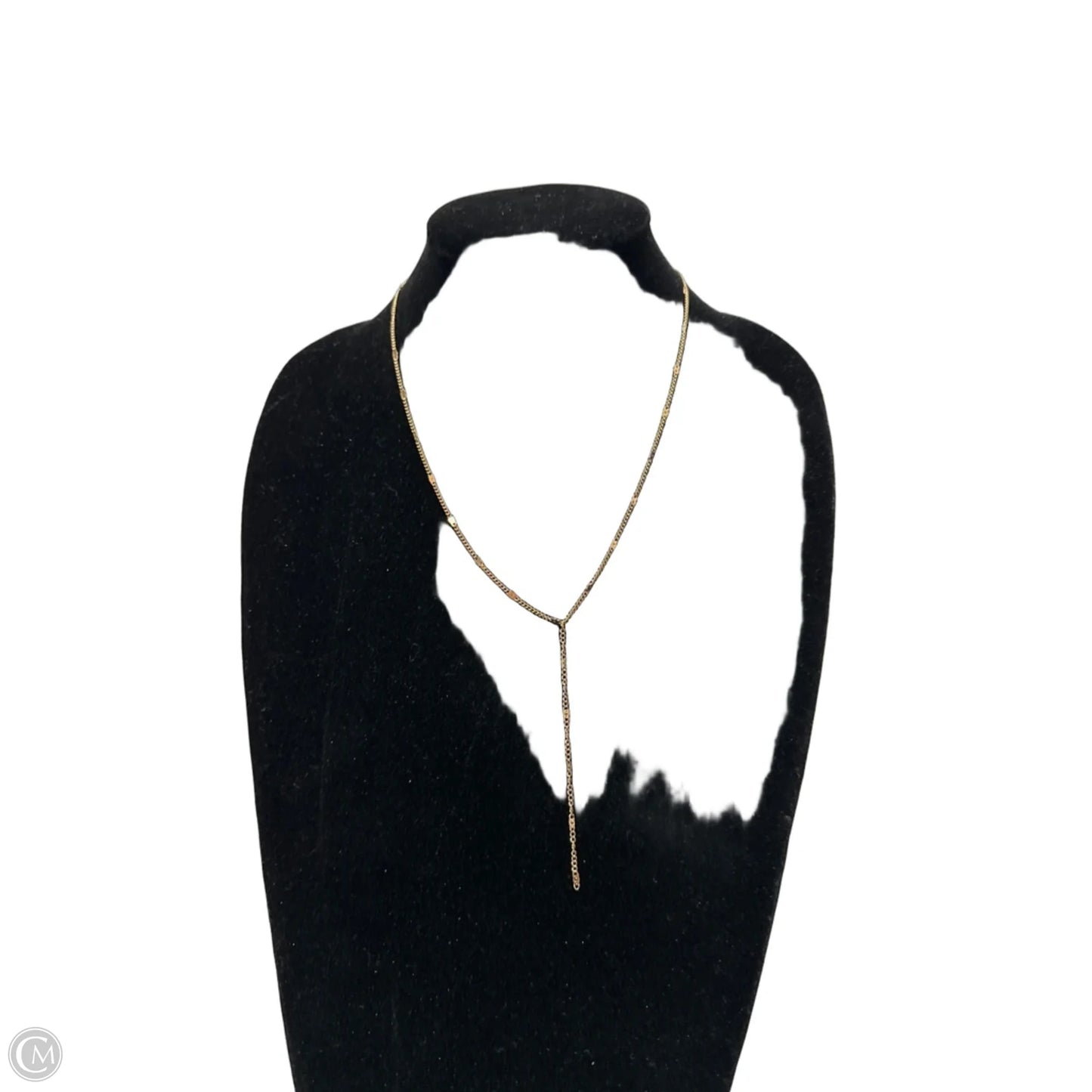 Necklace Chain By Clothes Mentor