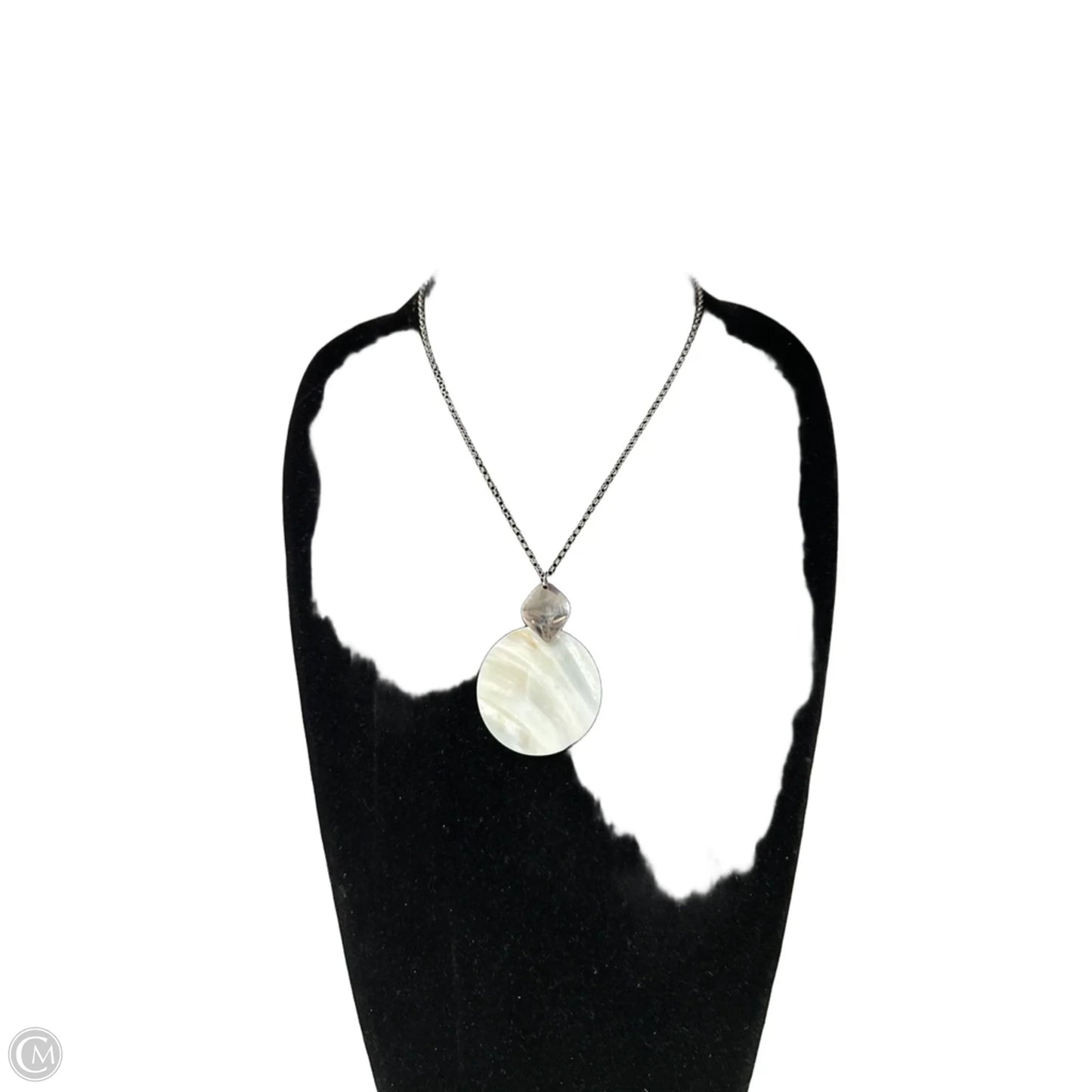 Necklace Pendant By Clothes Mentor