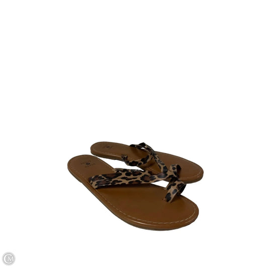 Sandals Flats By Shade & Shore In Animal Print, Size: 7