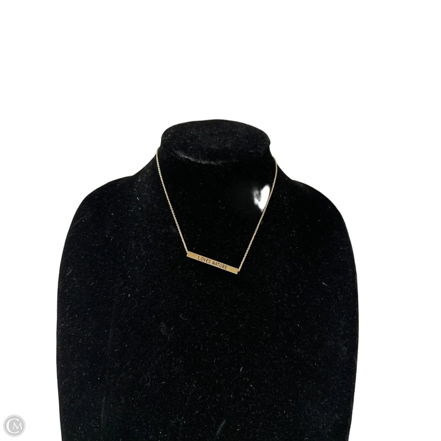 Necklace Pendant By Clothes Mentor, Size: 1