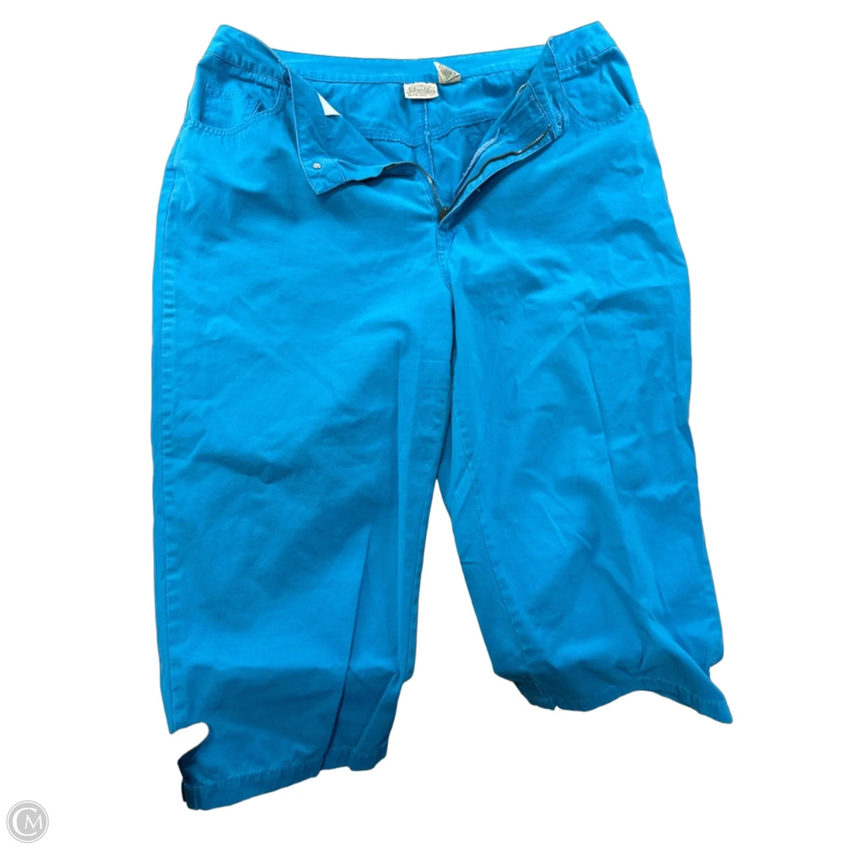 Pants Cargo & Utility By Authentic In Blue, Size: 18
