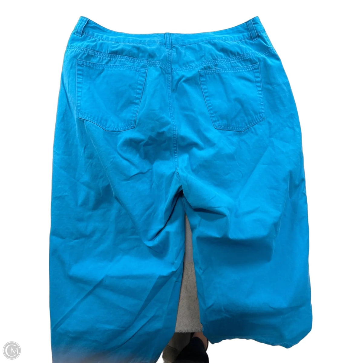 Pants Cargo & Utility By Authentic In Blue, Size: 18
