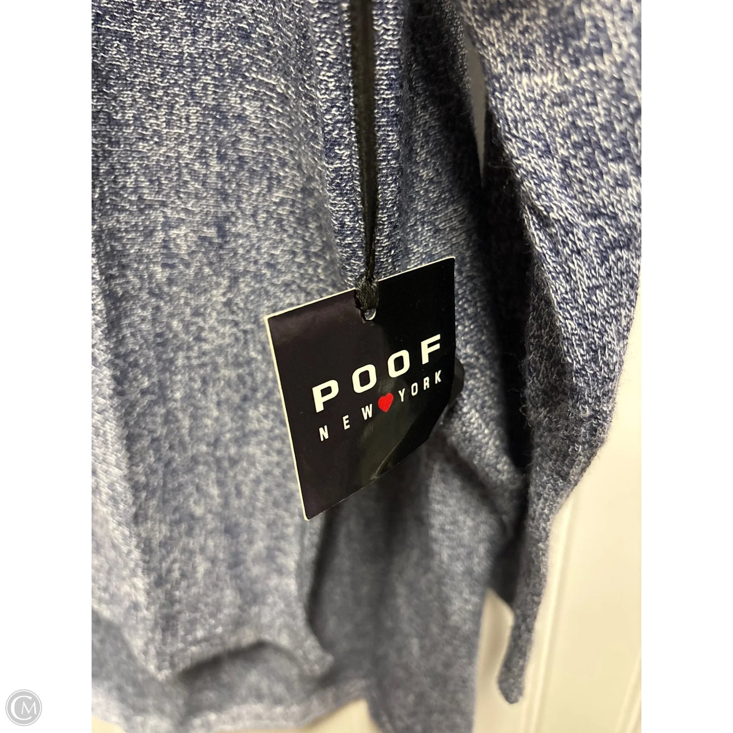 Sweater By Poof In Blue, Size: L