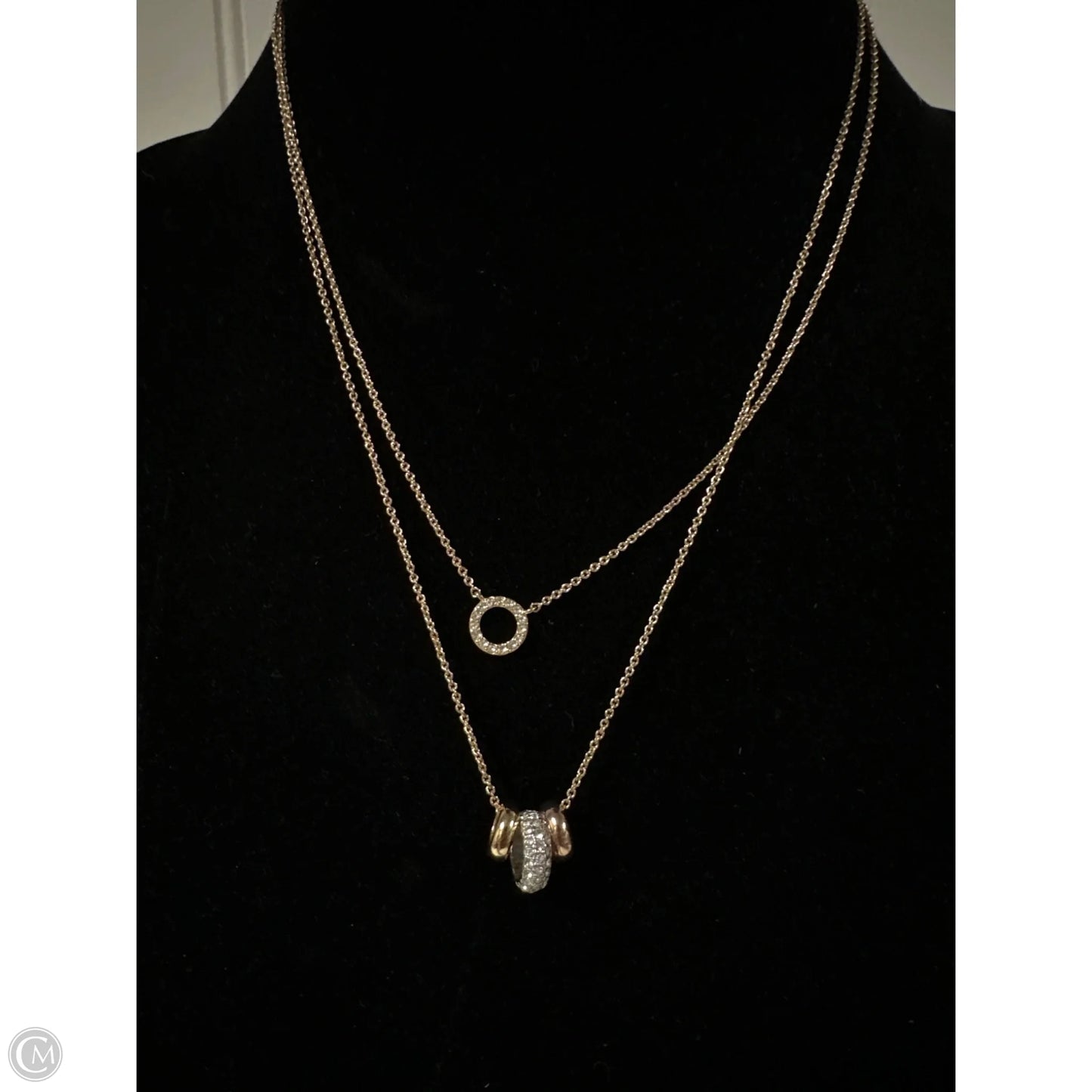 Necklace Layered By Dkny