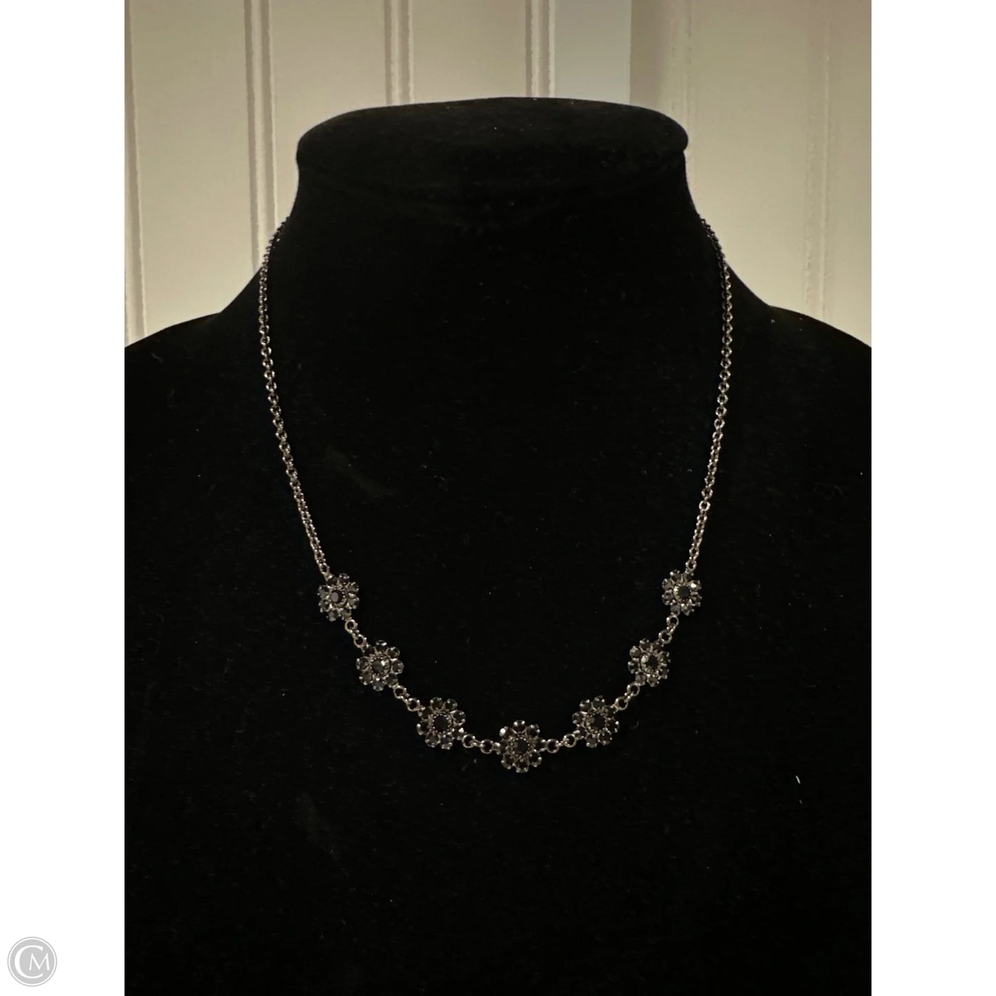 Necklace Other By Clothes Mentor, Size: 1