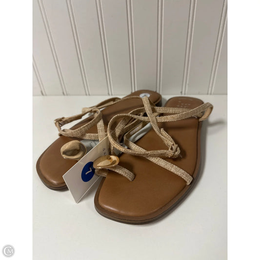 Sandals Flats By A New Day In Beige, Size: 7