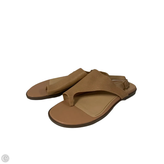 Sandals Flats By Vionic In Beige, Size: 11