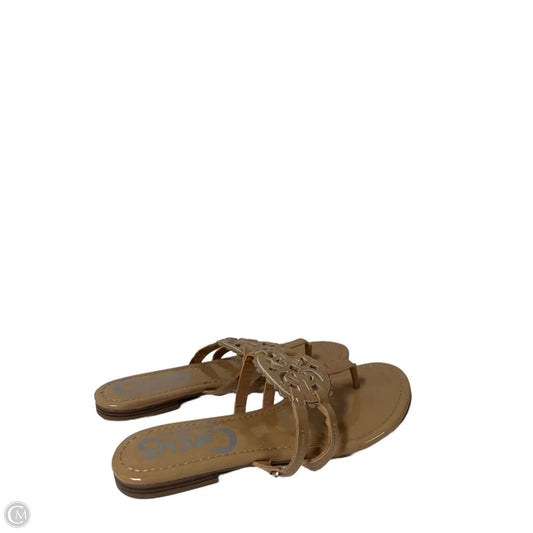 Sandals Flip Flops By Circus By Sam Edelman In Tan, Size: 9.5